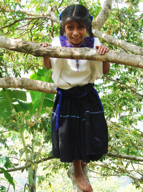 Zapatista climbing tree