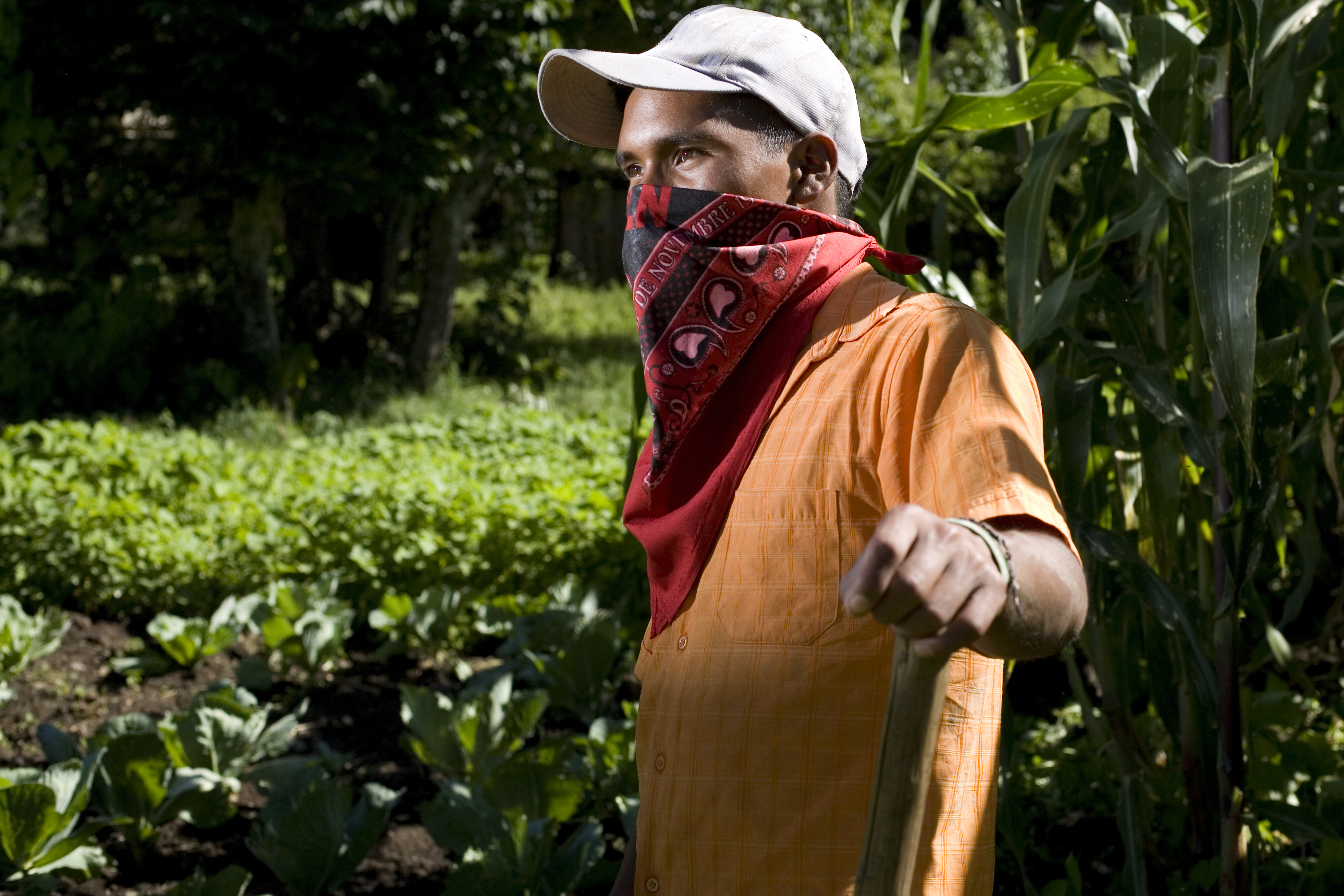 Zapatista farmer
