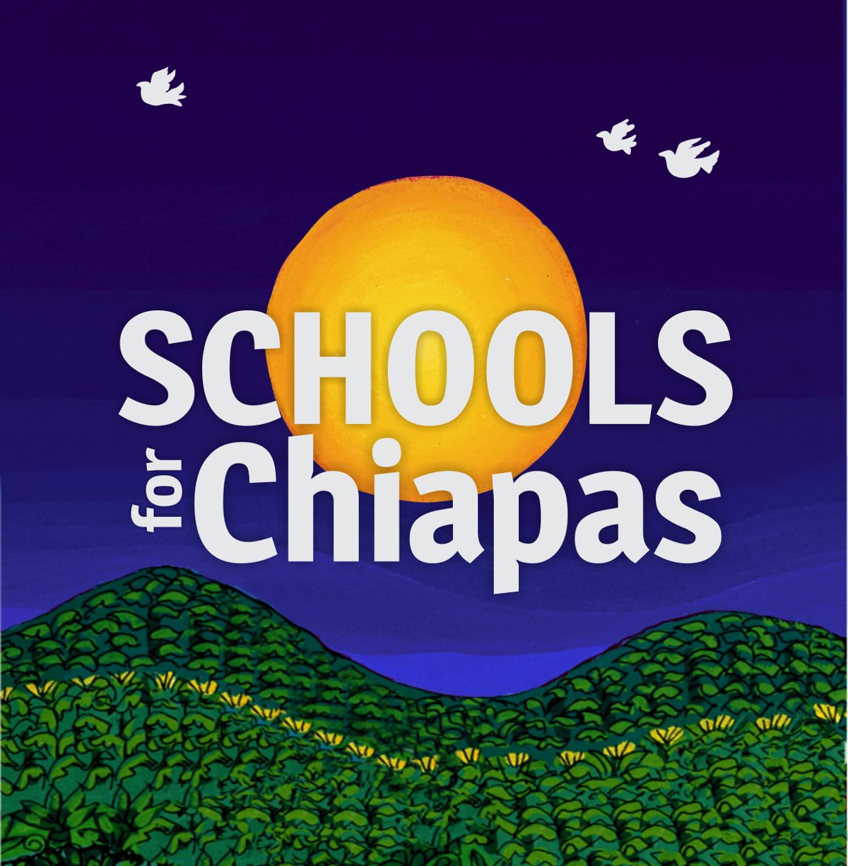 (c) Schoolsforchiapas.org
