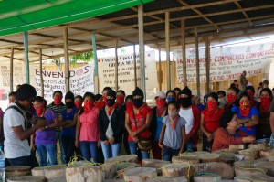 Zapatistas attending the meeting of the Sixth Campaign and alternative media meeting in La Realidad during Aug. 2014.