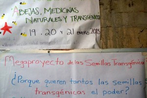 January 2015 workshop in Zapatista territory addressed bees, natural meds, and GMO seeds.