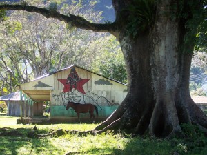 The huge Ceiba tree in front and the Zapatista school behind were destroyed by paramilitaries before they murdered the Zapatista teacher Galeano.