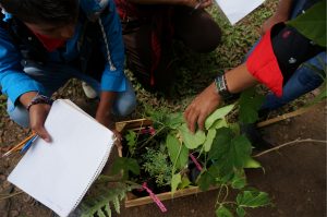 Students examine plant donations