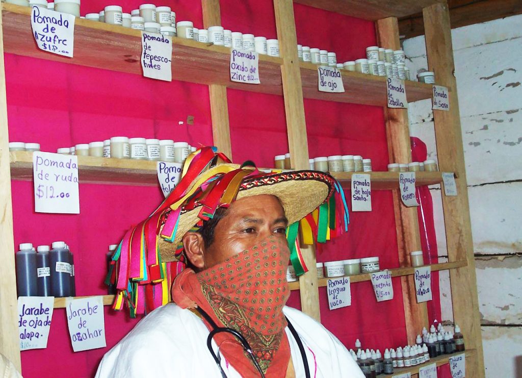Zapatista health promoter and herbalist in Aldama, Chiapas.